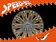 Radkappen Satz Giga 14" Anthrazit