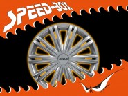 Radkappen Satz Giga 15" Silber