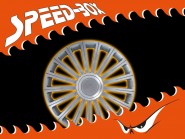 Radkappen Satz Radical 14" Silber / Chrom