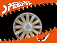 Radkappen Satz Spyder 14" Silber / Chrom